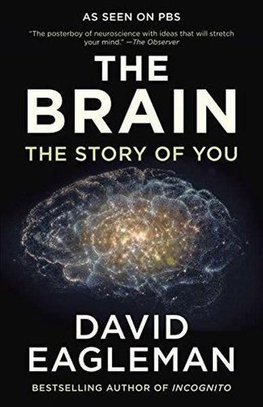 The Brain: The Story of You | Vintage (İnce Kapak)