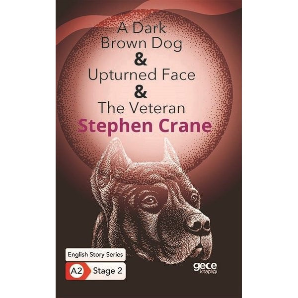 A Dark Brown Dog - Upturned Face - The Veteran - English Story Series - A2 Stage 2 | Gece Kitaplığı