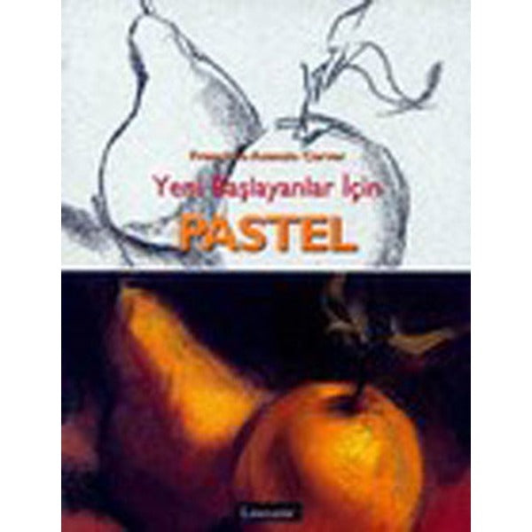 Yeni Başlayanlar İçin Pastel | Literatür Yayıncılık (İnce Kapak)