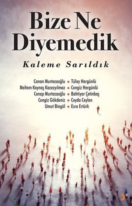 Bize Ne Diyemedik Kaleme Sarıldık | Cinius