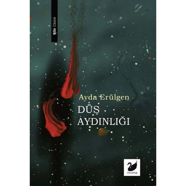 Düş Aydınlığı | Anima (İnce Kapak)