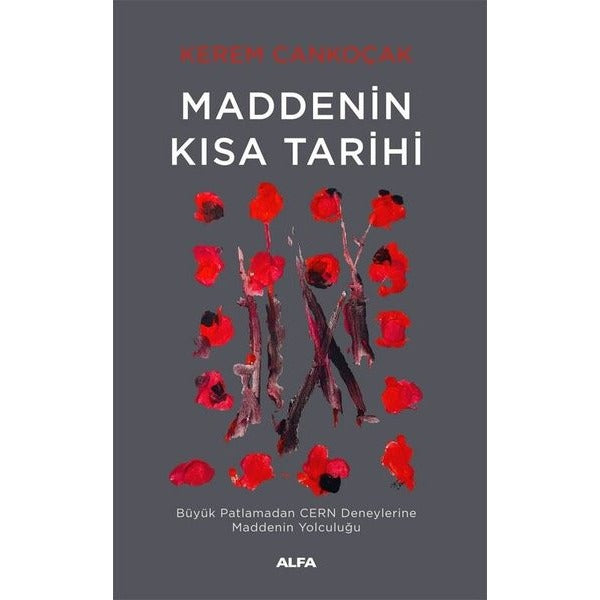 Maddenin Kısa Tarihi - Büyük Patlamadan CERN Deneylerine Maddenin Yolculuğu | Alfa Yayıncılık (İnce Kapak)