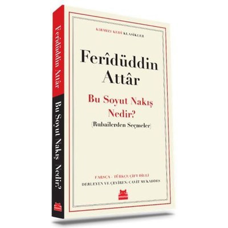 Bu Soyut Nakış Nedir? - Rubailerden Seçmeler - Kırmızı Kedi Klasikler | Kırmızı Kedi