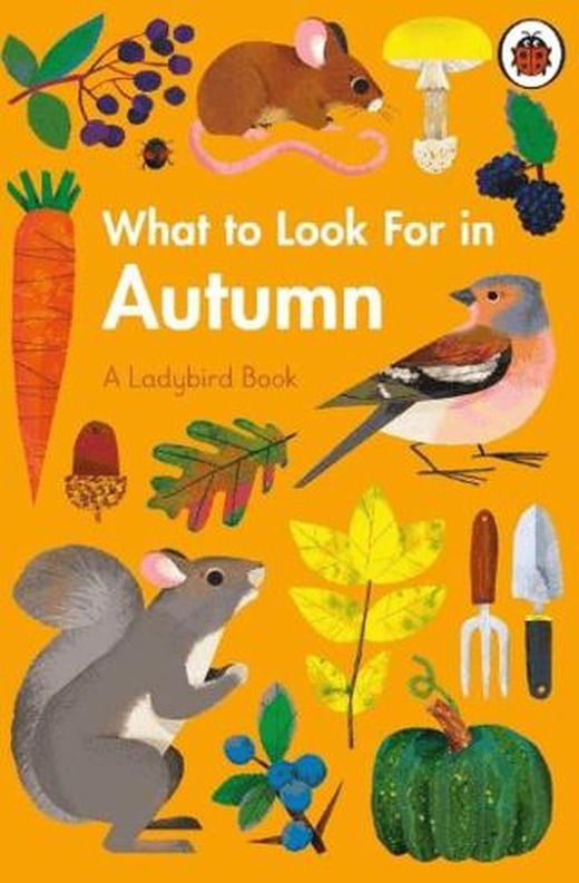 What to Look For in Autumn | Ladybird Book (Ciltli)