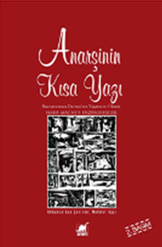 Anarşinin Kısa Yazı | Ayrıntı Yayınları