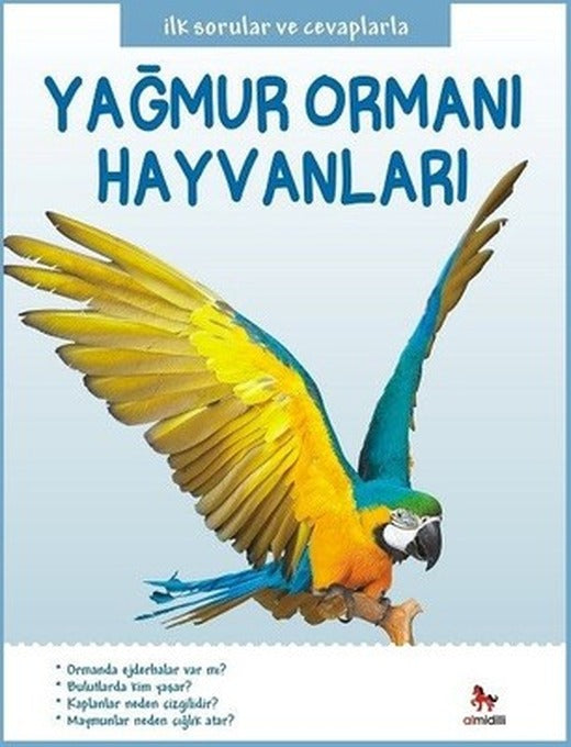 Yağmur Ormanı Hayvanları | Almidilli