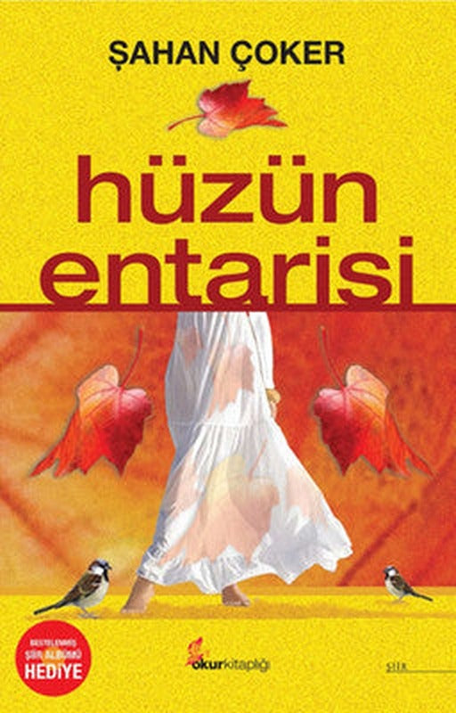 Hüzün Entarisi | Okur Kitaplığı
