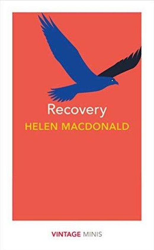 Recovery : Vintage Minis | Penguin Classics (İnce Kapak)