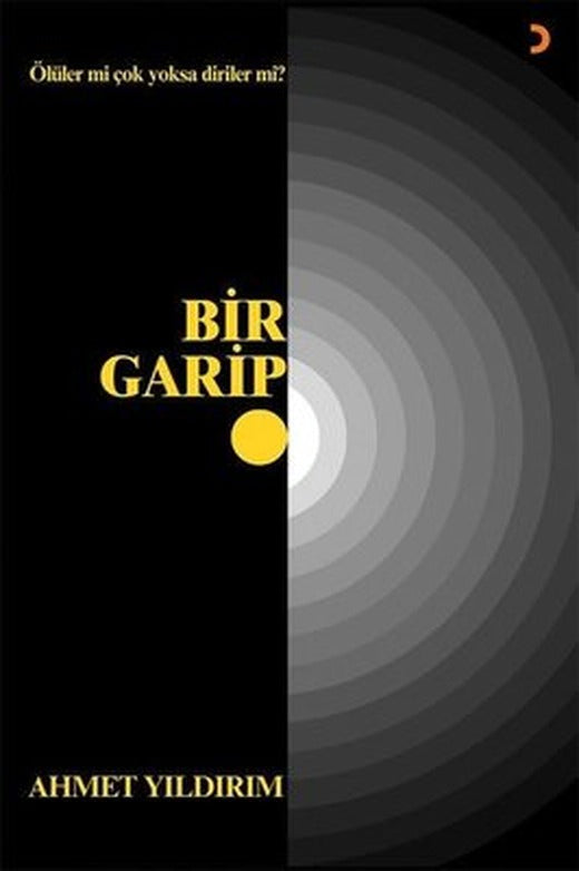 Bir Garip | Cinius (İnce Kapak)