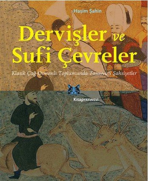 Dervişler ve Sufi Çevreler - Prof. Dr. Haşim Şahin kitap kapağı