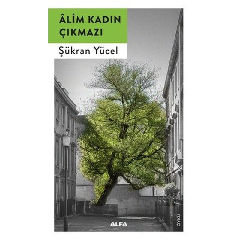 Alim Kadın Çıkmazı | Alfa Yayınları