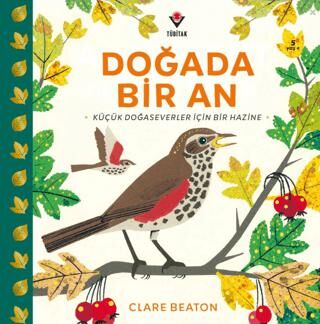 Doğada Bir An - Clare Beaton kitap kapağı