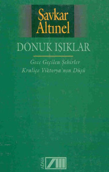 Adam Donuk Işıklar - Şavkar Altınel kitap kapağı