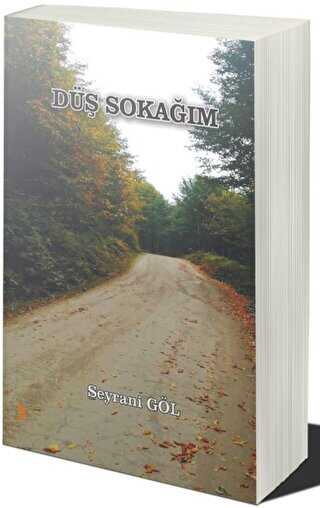 Düş Sokağım - Seyrani Göl kitap kapağı