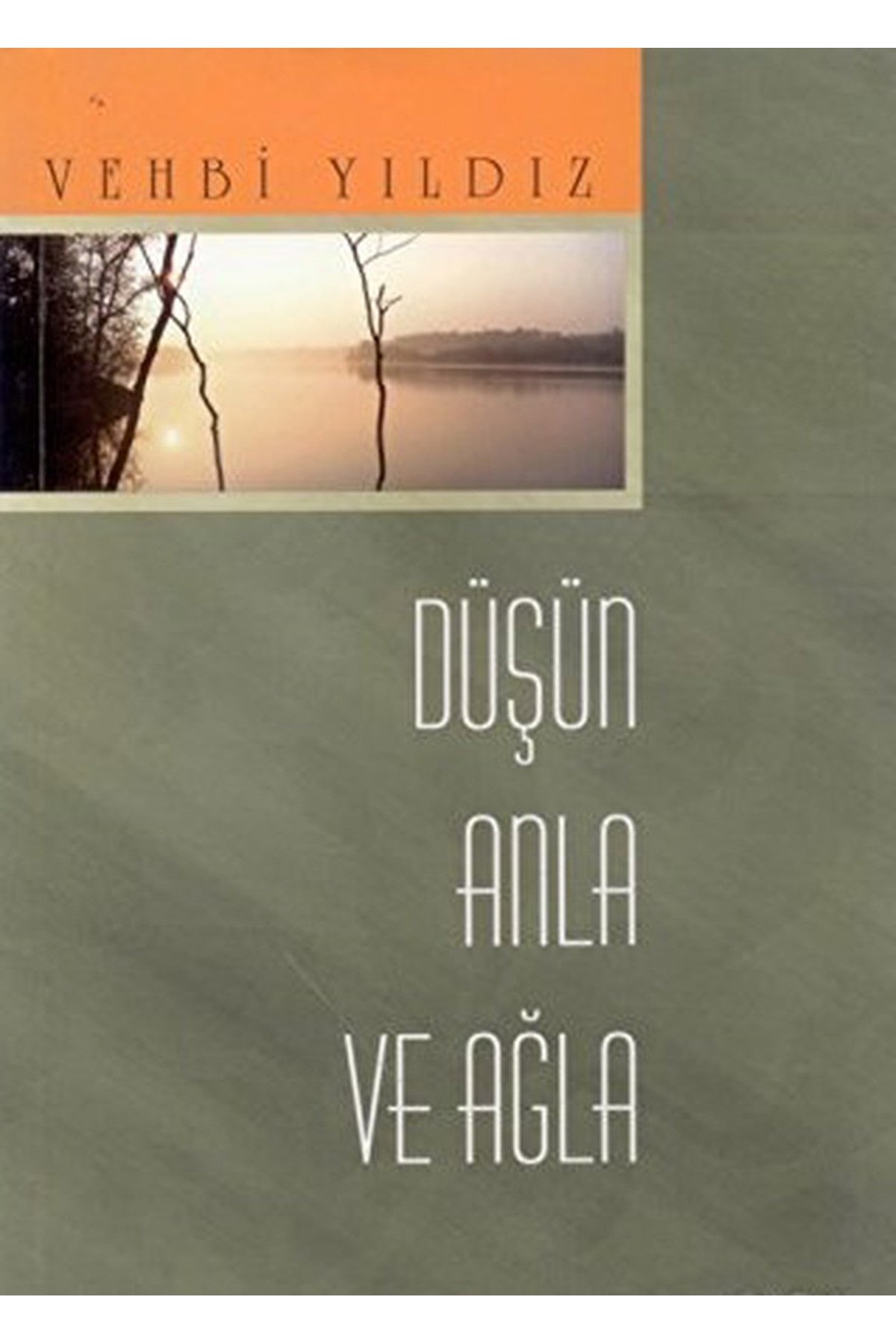 Düşün, Anla Ve Ağla - Vehbi Yıldız - Vehbi Yıldız kitap kapağı