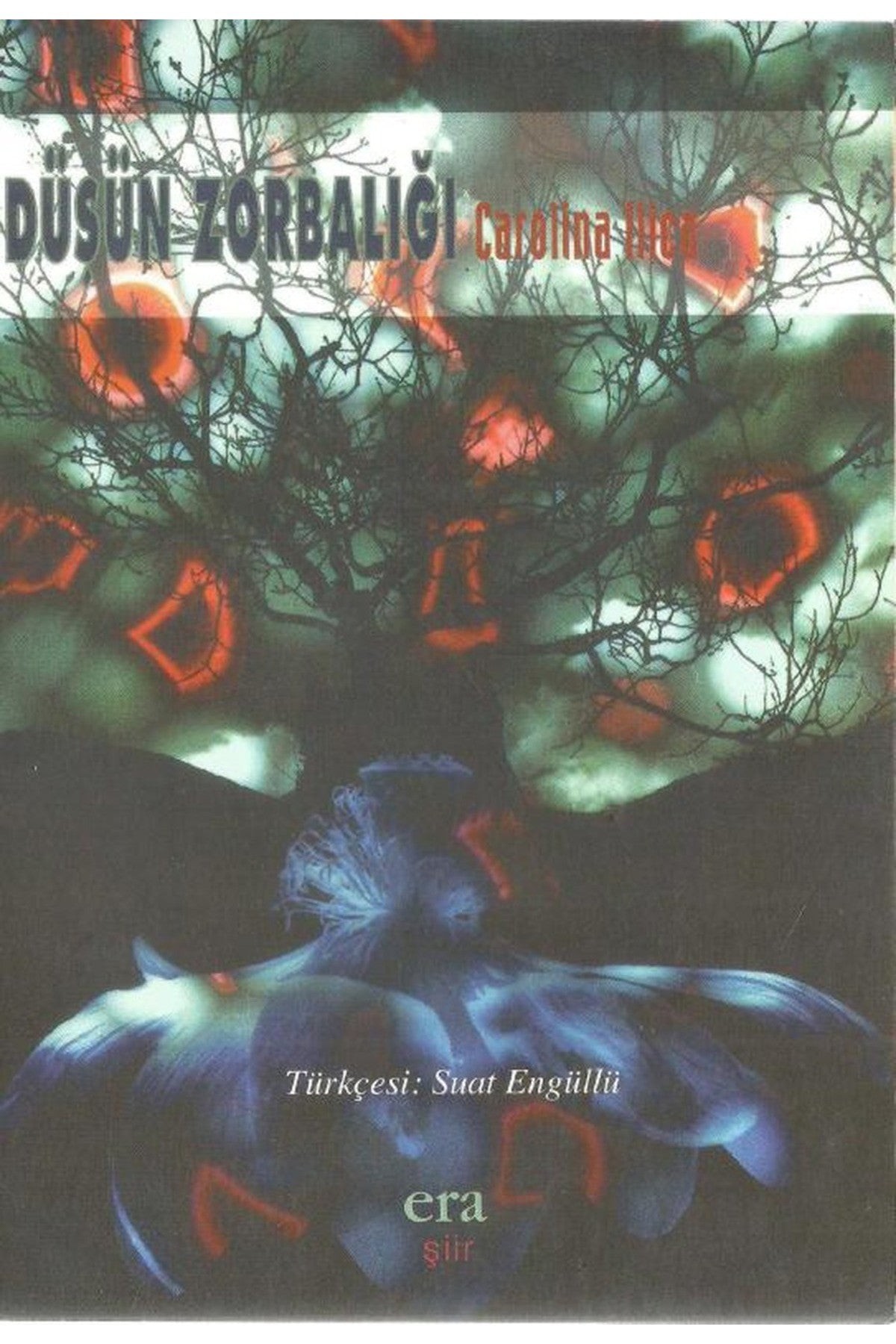 Düşün Zorbalığı - Carolina Ilıca (1998 Basım) kitap kapağı