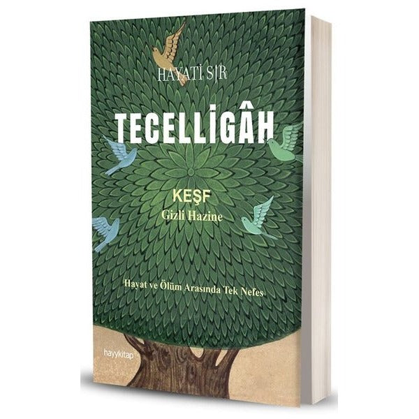 Tecelligah - Keşf Gizli Hazine | Hayykitap (İnce Kapak)
