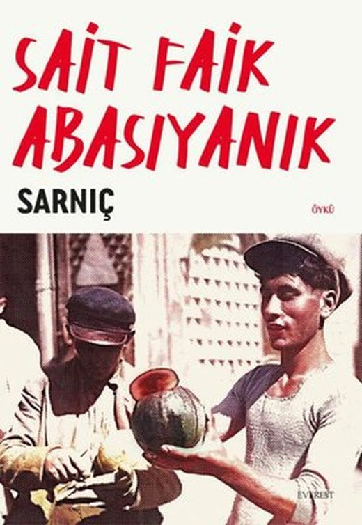 Sarnıç | Everest Yayınları (İnce Kapak)