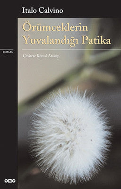 Örümceklerin Yuvalandığı Patika | Yapı Kredi Yayınları (İnce Kapak)
