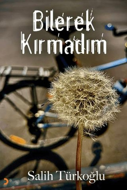Bilerek Kırmadım
