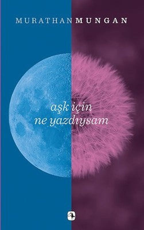 Aşk İçin Ne Yazdıysam | Metis Yayınları