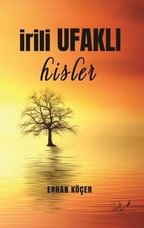 İrili Ufaklı Hisler | DLS Yayınları