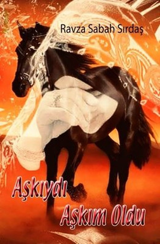Aşkıydı Aşkım Oldu | Zinde Yayınevi