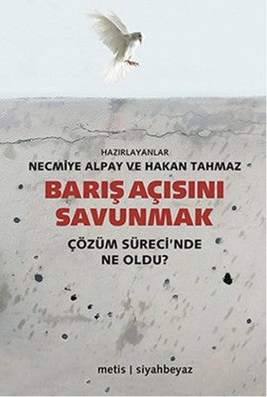 Barış Açısını Savunmak | Metis Yayınları