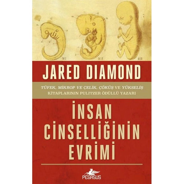 İnsan Cinselliğinin Evrimi | Pegasus (İnce Kapak)
