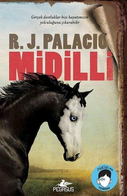 Midilli | Pegasus (İnce Kapak)