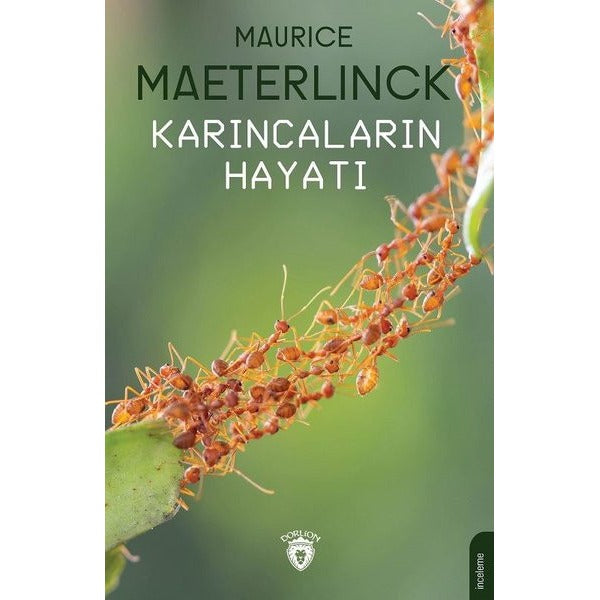 Karıncaların Hayatı