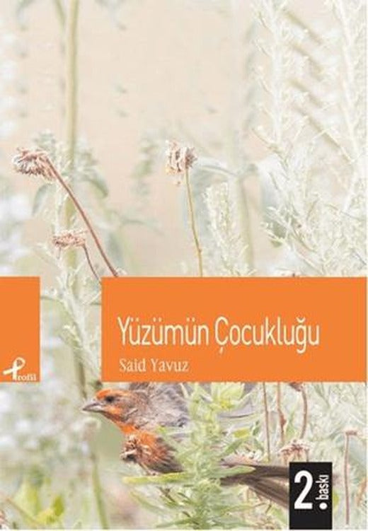 Yüzümün Çocukluğu | Profil Kitap (Ciltsiz)
