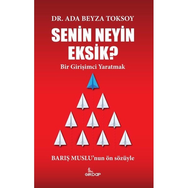 Senin Neyin Eksik? Bir Girişimci Yaratmak | Girdap (İnce Kapak)