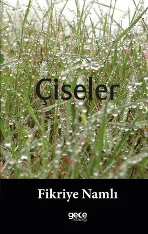 Çiseler | Gece Kitaplığı
