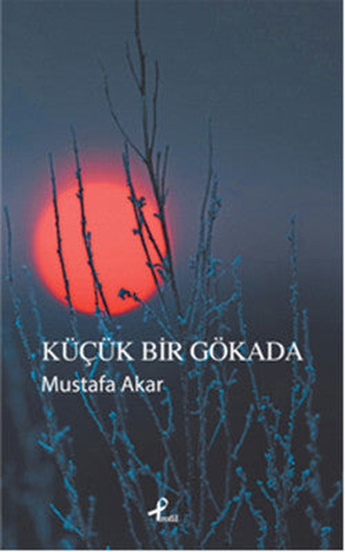 Küçük Bir Gökada | Profil Kitap