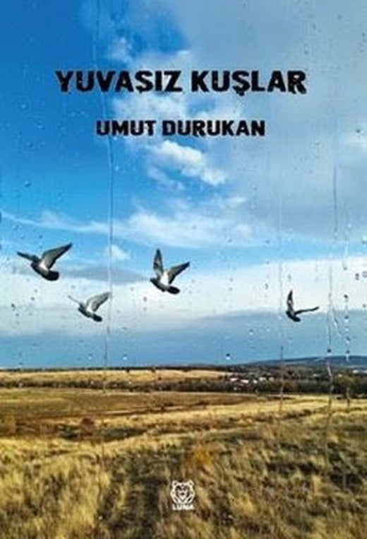 Yuvasız Kuşlar | Luna Yayınları (İnce Kapak)