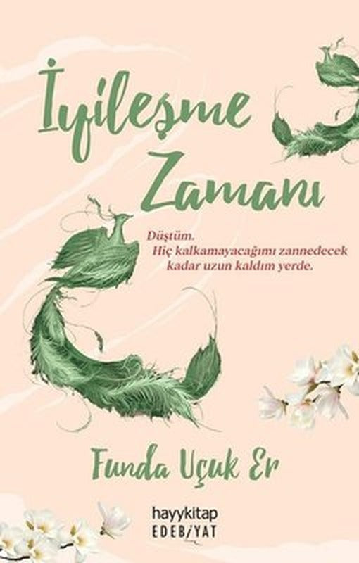 İyileşme Zamanı | Hayykitap