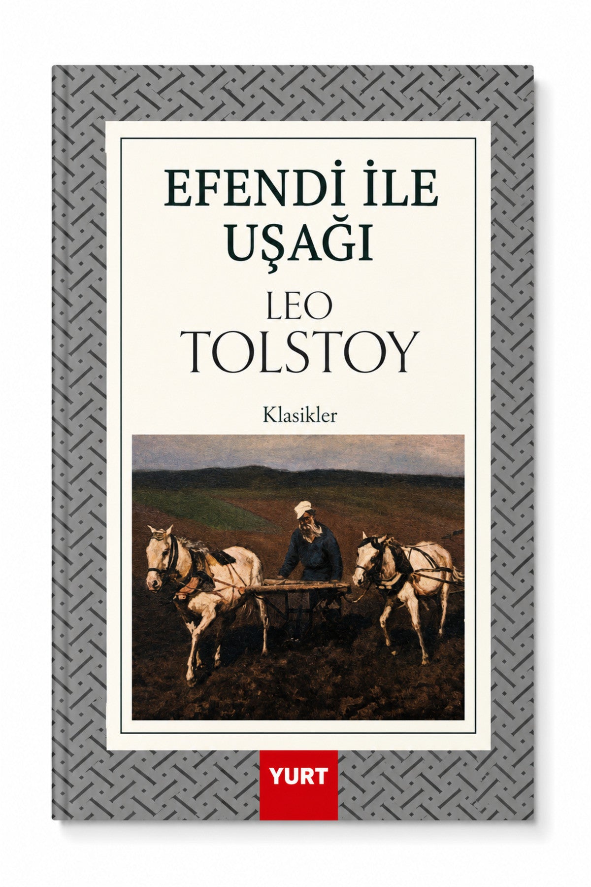 Efendi İle Uşağı - Lev Nikolayeviç Tolstoy kitap kapağı