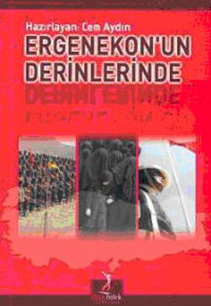 Ergenekon'un Derinlerinde - Cem Aydın kitap kapağı