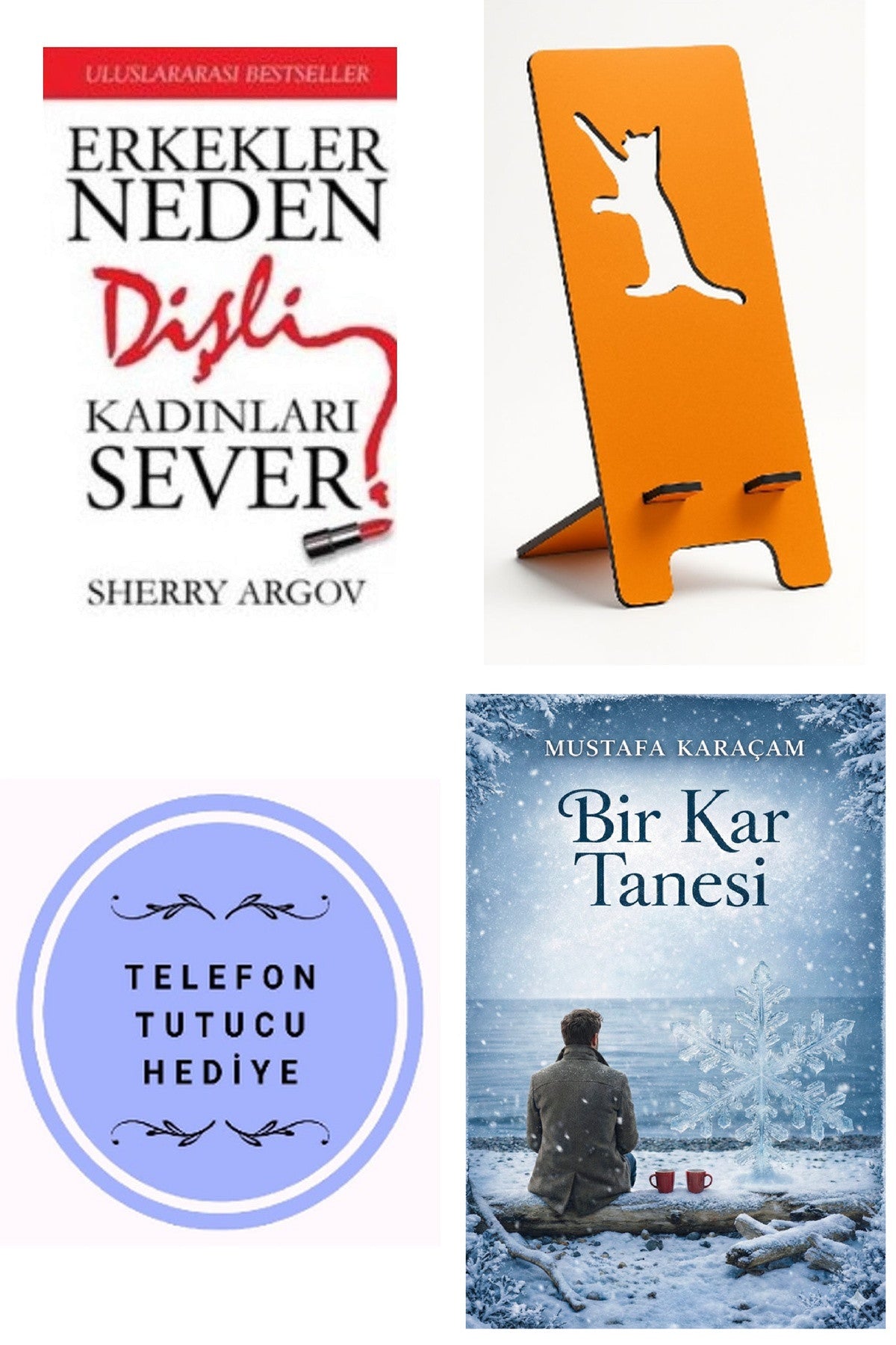 Erkekler Neden Dişli Kadınları Severler + Telefon Tutucu + Bir Kar Tanesi kitap kapağı