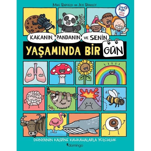 Kakanın Pandanın ve Senin Yaşamında Bir Gün | Domingo Yayınevi