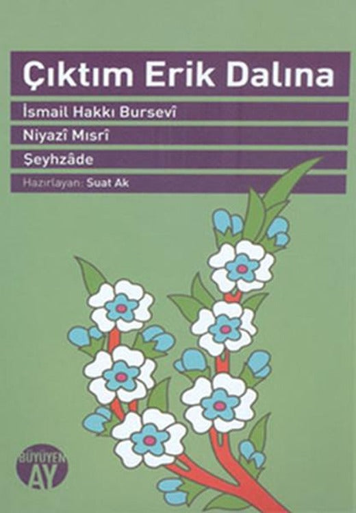 Çıktım Erik Dalına | Büyüyenay Yayınları (İnce Kapak)