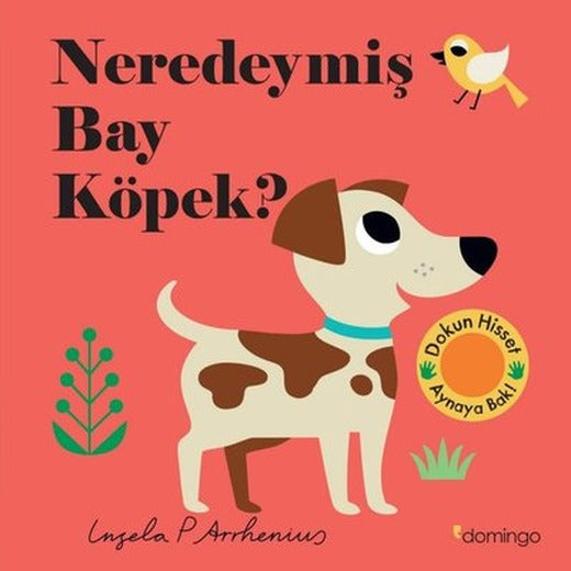 Neredeymiş Bay Köpek? Dokun Hisset Aynaya Bak! | Domingo Yayınevi