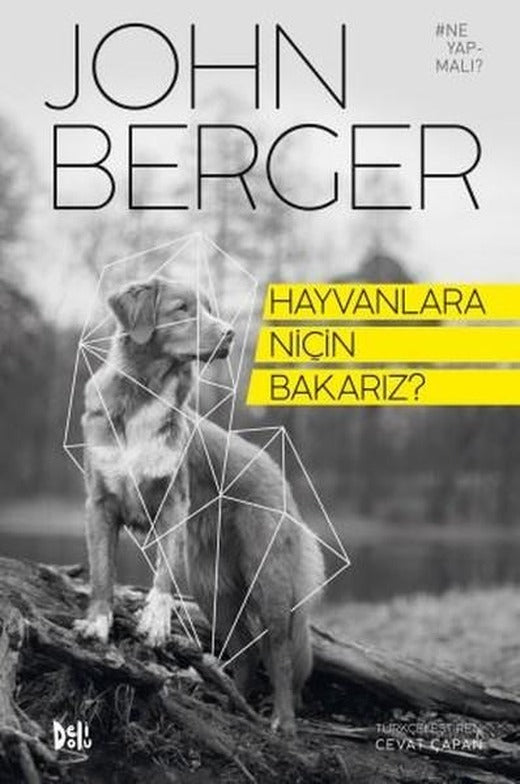 Hayvanlara Niçin Bakarız? | DeliDolu (İnce Kapak)