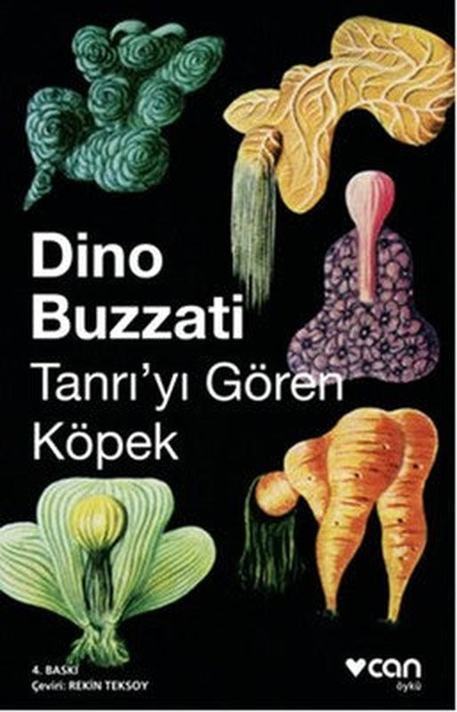 Tanrıyı Gören Köpek | Can Yayınları