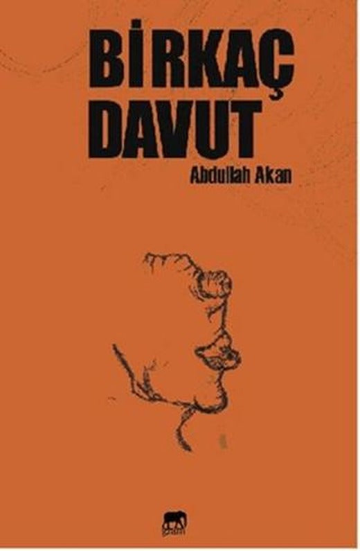 Birkaç Davut