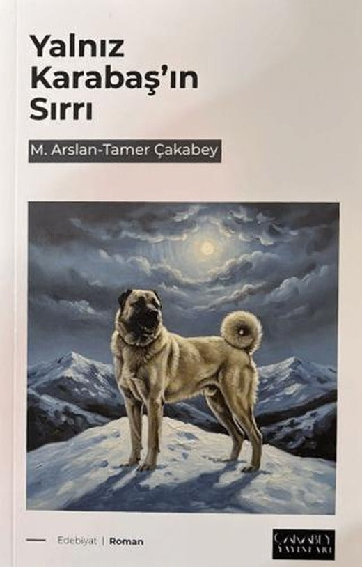 Yalnız Karabaş'ın Sırrı | Çakabey Yayınları (Ciltsiz)