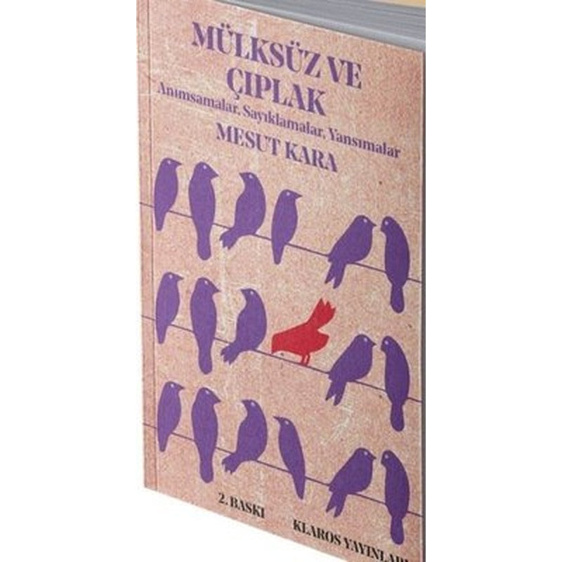 Mülksüz ve Çıplak | Klaros Yayınları