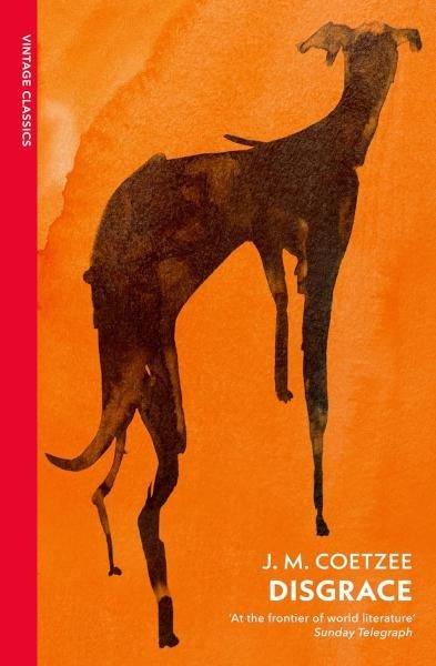 Disgrace A BBC Radio 4 Good Read | Vintage Publishing (İnce Kapak) - Resim 1
