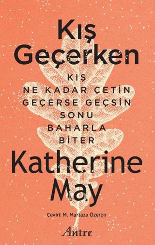 Kış Geçerken